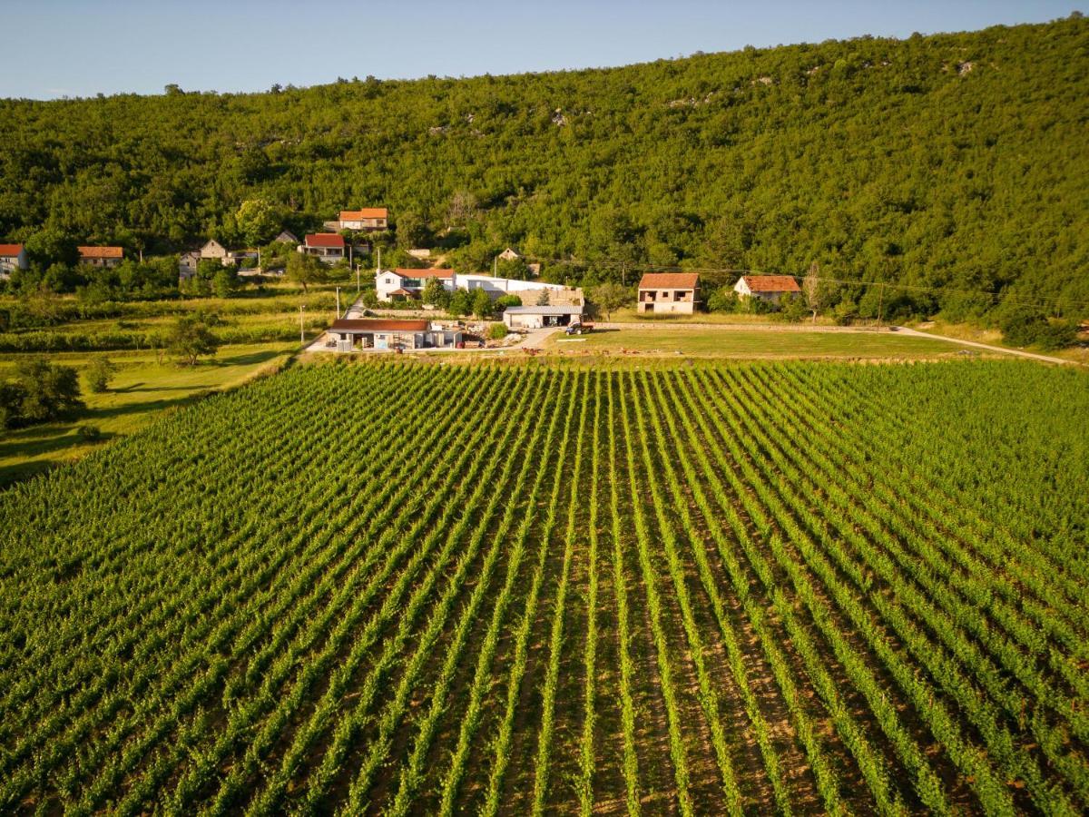 Krolo Villa&Wine Trilj Eksteriør billede